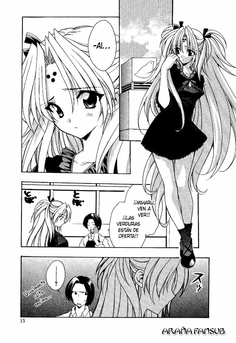 Girls Bravo (Araña Fansub)